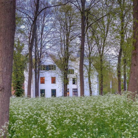 IMG_9742-Blended