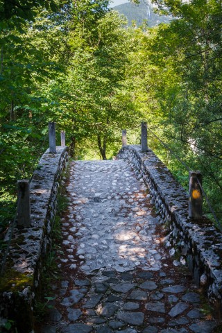 IMG_1784