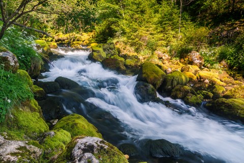 IMG_1807-HDR