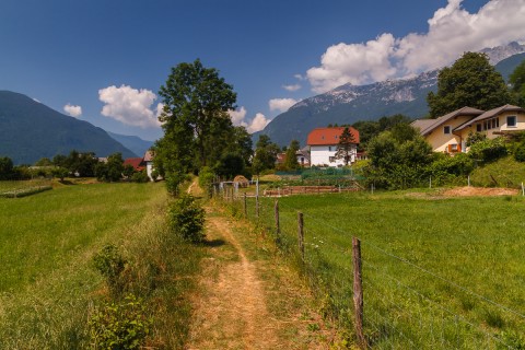 IMG_1998