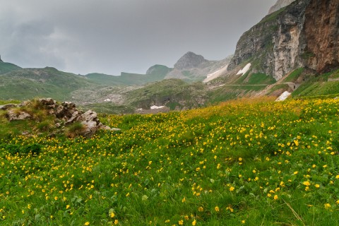 IMG_2130-HDR
