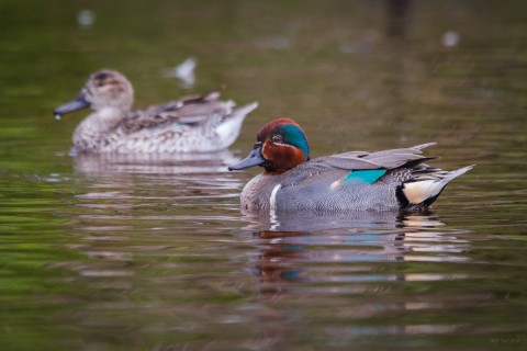20130131-IMG_5087