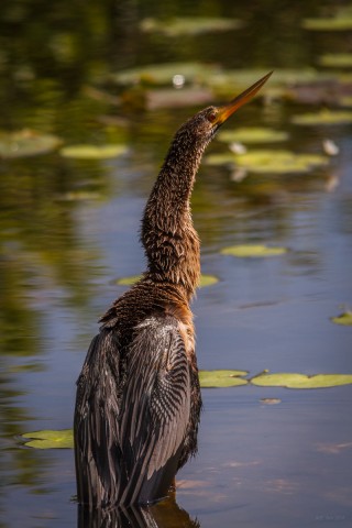 20140406-IMG_5913