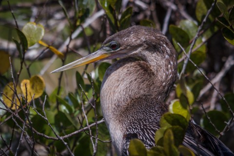 20140406-IMG_5995