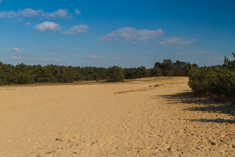 IMG_9055-HDR