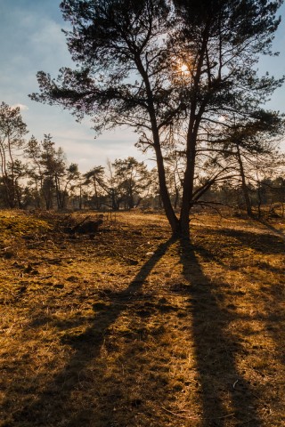 IMG_9109-HDR