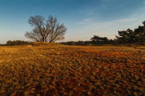 IMG_9214-HDR