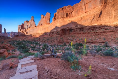 Park Avenue, Arches