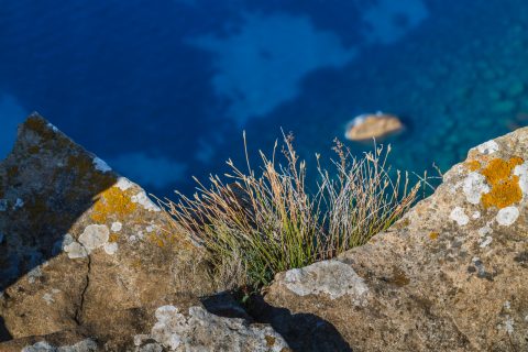 Calanques